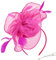 DRESHOW Damen Fascinators Hut Cocktail Party Tee Kopfbedeckung Blume Mesh Organza Bänder Federn auf Einem Stirnband