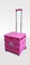 Pink LEISURE DIRECT ® Heavy Duty Extra Large Folding Foldable CAR Boot CART Crate Box Trolley for Teachers College Books FOLDERS 40KG Capacity Folds Flat with LID (Pink Trolley + Lid)