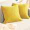 Blumtal Housse de Coussin 40x60 cm canape - Lot de 2 - Housse Coussin 40x60 cm en Chenille Douce avec Fermeture éclaire cachée - Protection décorative certifiée Oeko-Tex - Lavage Facile - Moutarde