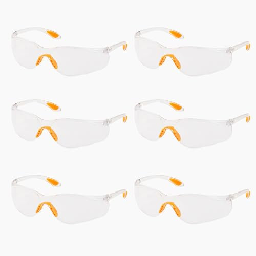 DALAETUS 6 Stück Schutzbrille Kit, Transparent Sicherheitsbrille, Anti-Beschlag und kratzbeständigen Augenschutzbrille, Arbeitsschutzbrille für Damen, Herren, Kinder