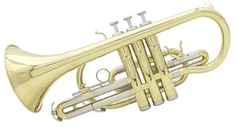 Trompeten Trompete, Bb, Goldenes Kornett Mit Stoffkoffer Behandschuhter Bürste Blechblasinstrument Für Anfänger