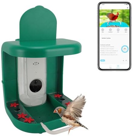 Bewinner Smart Vogelhaus mit Kamera Pro Solarbetrieben – WLAN APP Steuerung, Echtzeitüberwachung, Wasserdichtes Vogelhaus mit KI-Erkennung, Nachtversion, 135° Weitwinkel