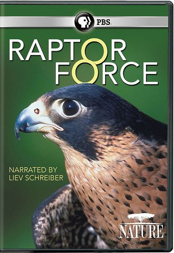 Nature: Raptor Force [DVD] [Import]