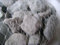 Out of the blue new, Kieselsteine, 1 kg, Grau