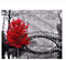 KUANGPT Adult PuzzleClassic Puzzle 1000 Teile Holzpuzzle DIY Schwarz-Weiß-Brücke und Roter Baum Moderne Wohnkultur Intellektuelles Spiel Wandkunst Einzigartiges Geschenk (75 x 50 cm)