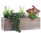Aisamco 1 pièce Plante Succulente Artificielle Assortiment de Plantes Succulentes dans Une Boîte en Bois Rustique Plantes Succulentes Artificielles en Pot pour la Décoration de Mariage à la Maison