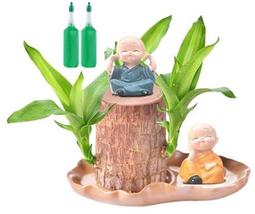 Brasilianische Holzpflanze Glückspflanze, ni Glücksholz Aus Brasilien, Magicals Sprießender Glücksbambus Aus, Hydrokultur-Topfpflanzenstumpf Zur Reinigung Der Raumluft, Brazil Lucky Wood