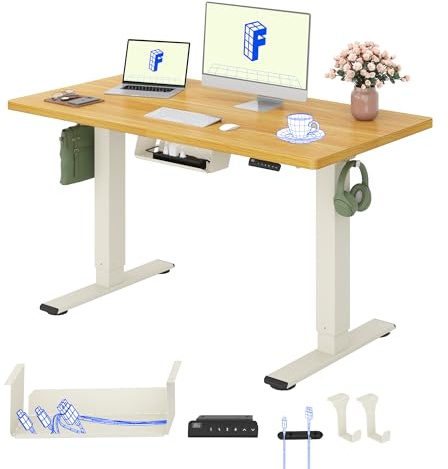 FLEXISPOT Schreibtisch Höhenverstellbar Elektrisch, Dual Motor Ergonomischer Bürotisch mit 25 mm einteiliger Tischplatte 120x80 cm und Kabelmanagement, Memory Funktion & Höhenanzeige