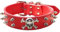 haoyueer Hundehalsband aus Leder mit Spikes, 2 Reihen, Nieten, PU-Leder, cooles Totenkopf-Haustierzubehör für mittelgroße und große Hunde (M, Rot)