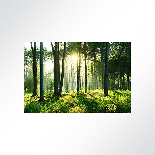 LYSEL® Absorberbild - Sonnenaufgang im Wald 200x150x5,5cm - Akustikbild Schallschlucker mit 50mm Schaumstoff aus Basotect® G+