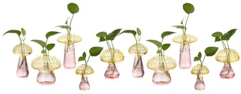 Glasseam Pilzpflanzen-Anzuchtstationen: Farbiges Glas-Terrarium-Glas, Set mit 10 niedlichen Pflanzgefäßen für Zimmerpflanzen, Mini-Anzuchtstation, einzigartige Weihnachtsgeburtstagsgeschenke für