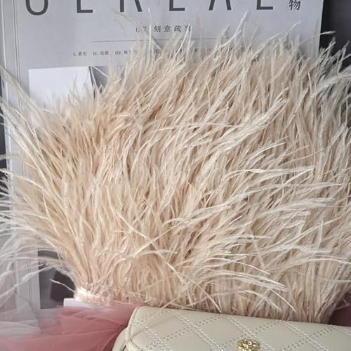 GreatRise 1m Natürlichen Straußenfedern Borte Plüsch Federband Federborte zum Basteln Federn Fringe Trim Fransen mit Satinband für DIY Nähen Hut Kleidung Kostüme Dekoration Beige#3 8-10cm