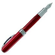 Visconti Rembrandt Variegated Red Resin Fountain Pen - EF