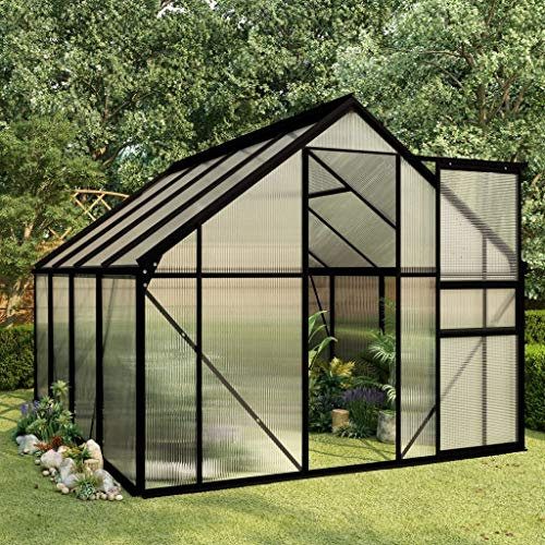 Festnight Serre de Jardin Tente pour Plantes en Aluminium Résistance aux UV Anthracite 4,75 m²