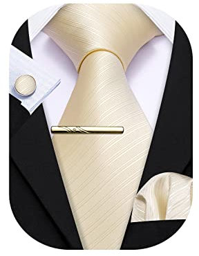 Barry.Wang Herren Satin Krawatte Set Krawatte Taschentuch Einfarbig Krawatte & Einstecktuch Krawattenklammer Set Hochzeit Krawatten