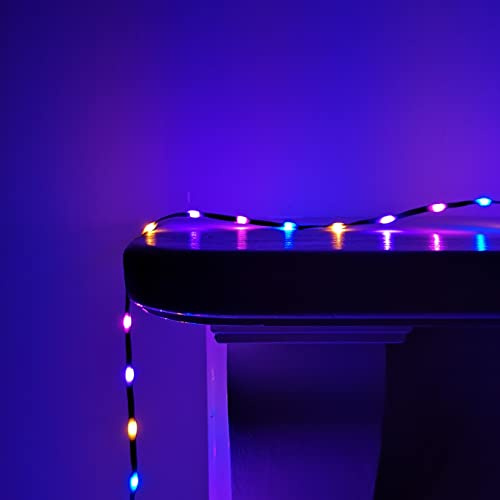 Premier 1000 LED 35m Flexibrights Indoor Outdoor Multi Function Christmas Lights with Timer in Rainbow