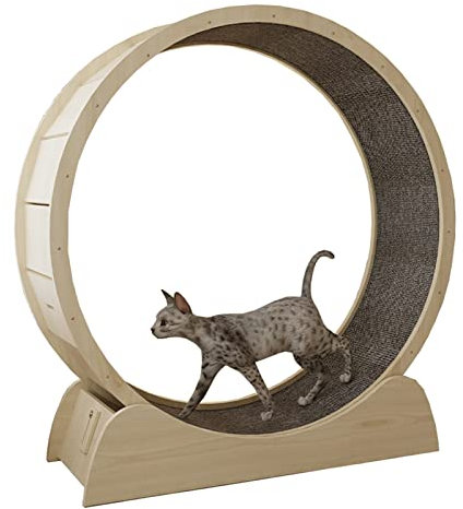 Laufrad für Katzen, 80/90/100 cm, Laufband für Katzen, Retro, rundes Laufrad für Katzen mit winziger Lücke, Lauf-Riesenrad für Katzen im Innenbereich aus Holz für Kätzchen, Erwachsene Katzen