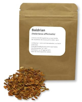 Echter Baldrian Saatgut Valeriana officinalis traditionelle Heilpflanze Kräutergarten Apothekergarten (1 Portion)