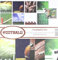 Reminisce Sammelalbum-Set Fußball 2