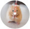 OPSREY Kastanienbrauner Hamster bedruckter Weihnachtsbaumrock Abdeckung Weihnachtsdekoration Baumrock