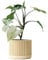 | Blumentopf aus Beton | Übertopf | Pflanzenhalter | Blumenvase | Edition ONE | Kyoto (L | 14cm, Sunshine)