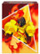 Ultra Pro - TCG Pokémon - Caja de Mazo Vista Completa - Armarouge