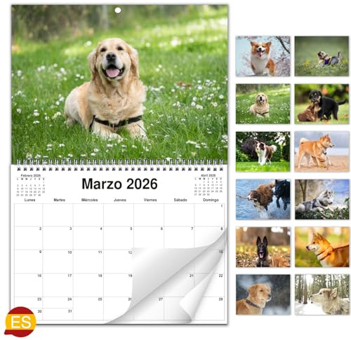 AEYAKA 2026 Hundekalender A4 – Monatskalender zum Aufhängen, aufgeklappt A3, Wandplaner & Terminplaner für Familie, Büro & Zuhause Spanisch