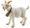Bullyland 62318 - Spielfigur Ziege weiß, ca. 9 cm große Tierfigur, detailgetreu, PVC-frei, ideal als kleines Geschenk für Kinder ab 3 Jahren