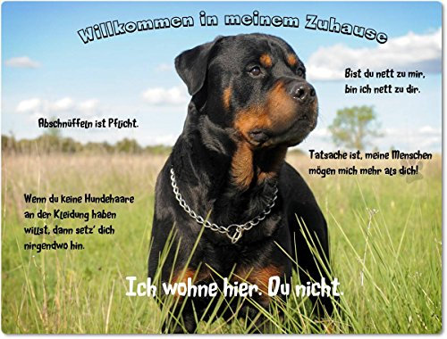 Merchandise for Fans Blechschild/Warnschild/Türschild - Aluminium - 15x20cm - Willkommen in Meinem Zuhause - Motiv: Rottweiler stehend im Gras - 02