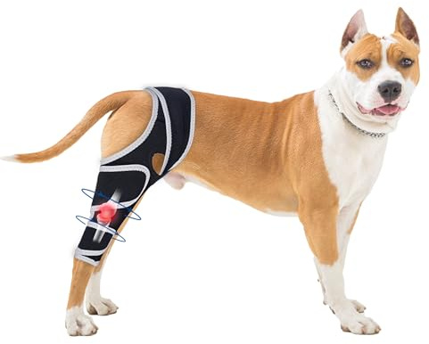 Moysoon Verstellbare Beinbandage für Wärme und Unterstützung – Kniebandage für Hunde mit Kreuzbandriss im Hinterbein, universelle Kniebandage für vierbeinige Hunde.(M)