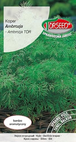 Verdica Graines d'aneth d'ambroisie [Anethum graveolens] – Saveur aromatique, riche en huiles essentielles, parfaites pour un usage culinaire, polyvalentes, fraîches à conservées, plantation de mars à