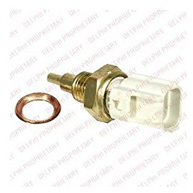 Delphi TS10289 Temperature Sensor
