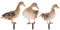 Cabilock 3 Stücke Gartenstecker Gartenfigur Enten Deko Figuren Gartendeko Tiere Stecker Ostern Dekofigur Zaunhocker Osterdeko Acryl Zaunhocker Garten Statue Rasen Hof Dekoration