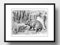 Din A4 Kunstdruck ohne Rahmen - Wildschwein Frischlinge - Jagd Natur Vintage Retro - Druck Poster Bild