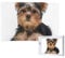 Yorkshire Terrier, Jigsaw Puzzles 1000 Pieces Wooden Jigsaw Toy Family Game Wall Decor for Adults Teens