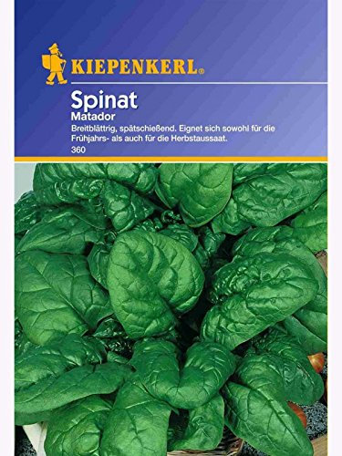 Kiepenkerl