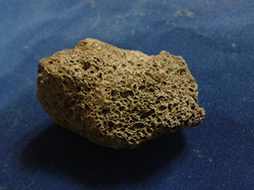 Teichbauzentrum Sankt Julian 50 Lavasteine Aquarium o. Terrarium 3,0-6,0 cm Dekoration Natursteine Steine 0,35 Euro je Stein incl. Versand