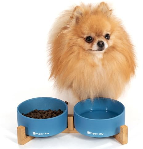 Ceramic Cat Dog Bowl Dish with Wood Stand No Spill Pet Food Water Feeder | Set of 2 (Blue)