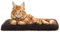 Katzen Fensterliege Fensterbank rutschfest - Katzenbett Fensterbank 60x25 cm - Weich & Kuschelig - Fensterliege für Katzen Selbstheizende Katzendecke - Waschbarer Bezug (Braun)