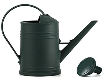 Ailovone Gießkanne mit Brause 2Liter klein Pflanzengießkanne Kunststoff Gießkanne Garten Wasserkanne mit Sprinklerkopf Langer Mund tragbares Gefäß dekorative Gartengeräte (Grün)