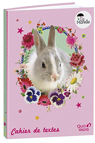 BRUNNEN Schulheft A4 4x9mm hochkar.20Bl