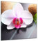 Bilderdepot24 Glasbild - Zen Steine und Orchidee - 20 x 20 cm - Deko Glas - Wandbild aus Glas - Bild auf Glas - moderne Glasbilder - Glasfoto - Echtglas - kein Acryl - Handmade