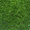 Tenax Standard Green 1,00x25 m, Gazon Synthétique, Tapis Vert en Fibres Artificielles pour Décorer Entrées, Balcons et Sols Extérieurs