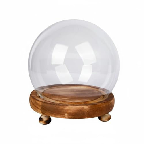 MagiDeal Klarglas-Kuppel-Display für Pflanzen und Blumen, kugelförmig, mit Sockel, Mikro-Landschaft, Terrarium, Leere Glaskuppel für Wohnzimmer, Büro, Zuhause, 12cm