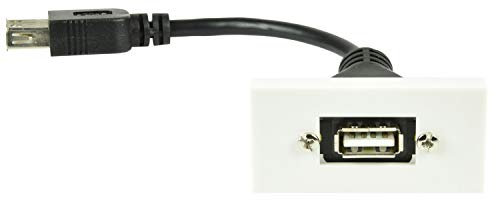 AV:Link Module Plaque Murale USB 2.0 Type A vers Queue Femelle