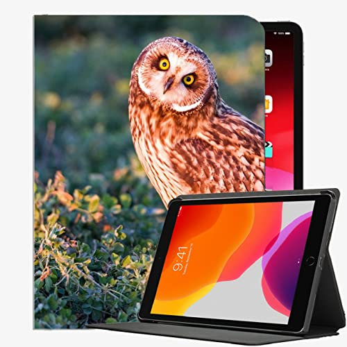 Caja Inteligente para el iPad Air 2, Owl Bird Grass Predator Case Slim Shell Funda para iPad Air2 9.7 Pulgadas