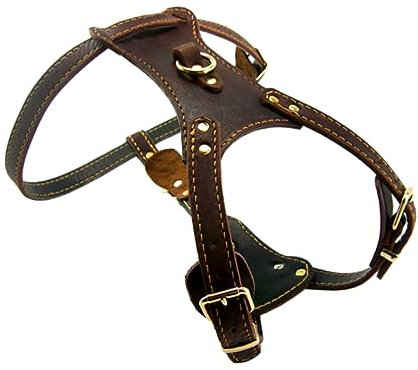ORFOFE Cowhide Brustgurt-Halsband Für Hunde Und Strapazierfähig Geeignet Für Mittelgroße Und Große Haustiere Modisches Design Brustgröße