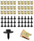 Flaconi Auto Befestigung Clips,karosserieschrauben,Schraube Mutter Clip,Blechmutter Blechschrauben Schraube Mutter Clip Schnappmutter Set,für Befestigung von Autodekorationsplatten (60pcs)