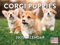 Corgi Welpenkalender 2025 Wand | Hergestellt in den USA