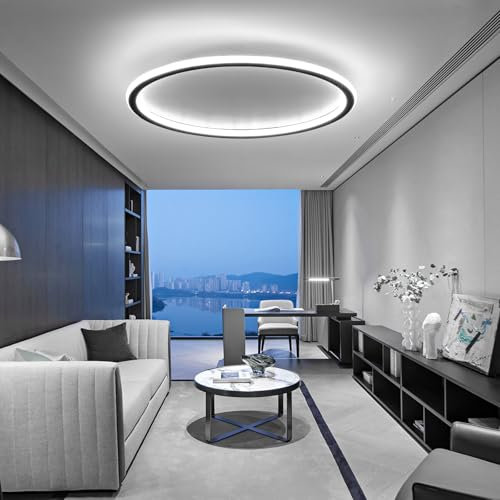 Mikeru Runde LED Deckenleuchte 40cm, Flush Mount Deckenleuchten 6500K Zeitgenössische kühle Deckenleuchte Schlanke Flur Deckenleuchte 5cm schlanke Badezimmer Deckenleuchte für Restaurant, Balkon